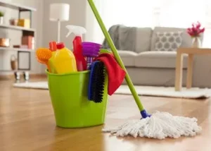 Ménage à domicile